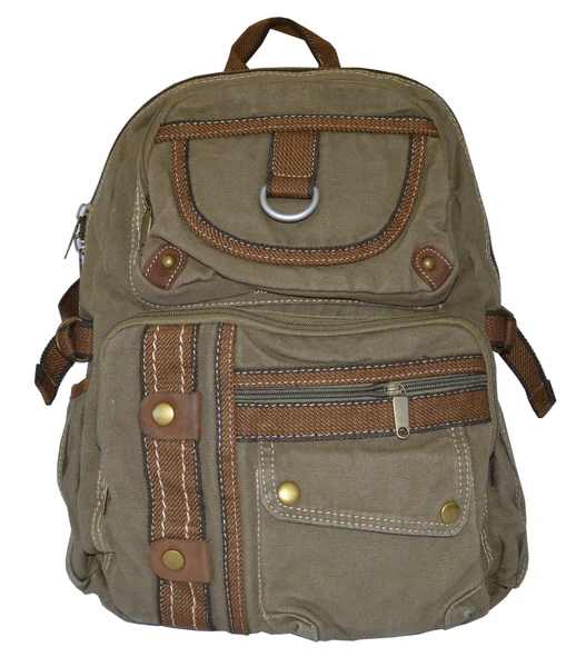 Sonoma Canvas Utility Backpack
